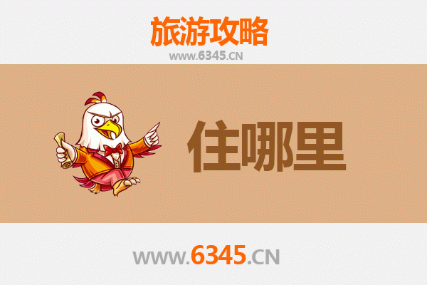 漯河召陵深度游：民宿攻略与沉浸式文化体验指南